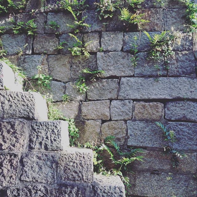 撮影場所を教えてもらった。たぶんココ。複数でいると見えるものが変わるかも。 #物語する芸術祭 #背景 #見えないものが見えてくる (Instagram)