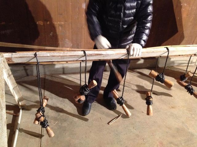 [10]木の左端から右に行くと中で線があるのがわかるでしょうか。 ここにヨシの根っこ側の先を合わせます。 上から2本目が合っているのがわかると思います。 そして、よくよく見ると一番上のヨシが細いのがわかるでしょうか。 つまり、ヨシは左に太い方を一本配置したら、次は右の人が右に太い方を配置します。矢印で書くと、ー＞、＜ーの順です。 こうすると、片方に寄ることを防げます。単純だけど、面白い。 ちなみに、線よりはみ出した先は、よしずがシート上に長くなってくると、じゃまになるので、はさみで切ります。