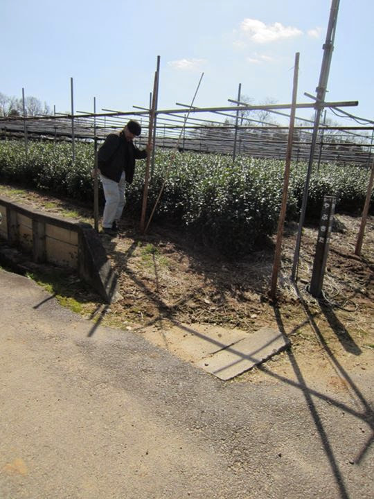 地面を固めます